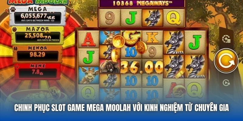 Chinh phục Slot game Mega Moolah với kinh nghiệm từ chuyên gia